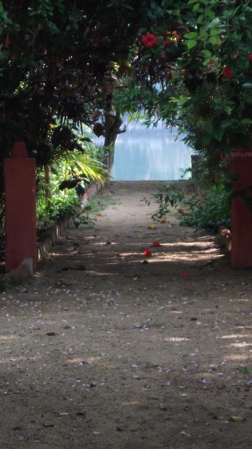 Big Banana Island Retreat Hotel North Paravur Exterior foto